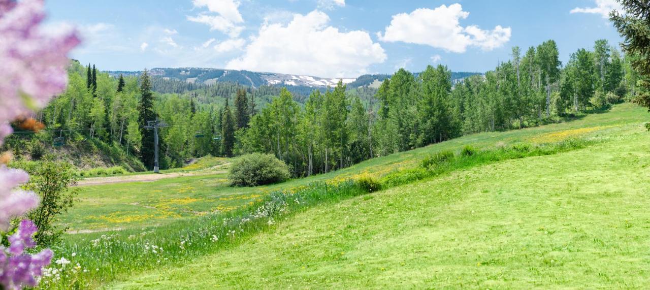 Laurelwood Condominiums 303 Snowmass Village Kültér fotó